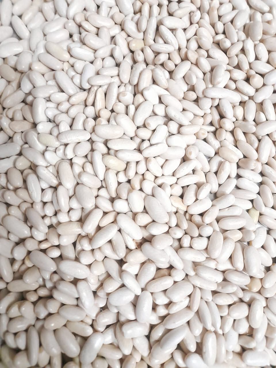 bean