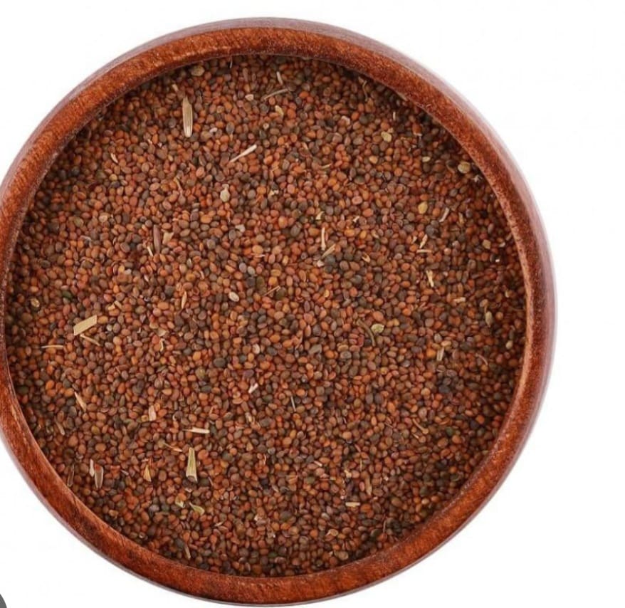 Arugula Seeds